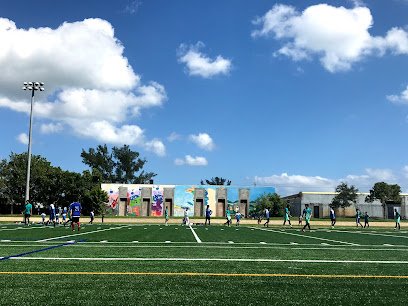 Soccer Field image 1