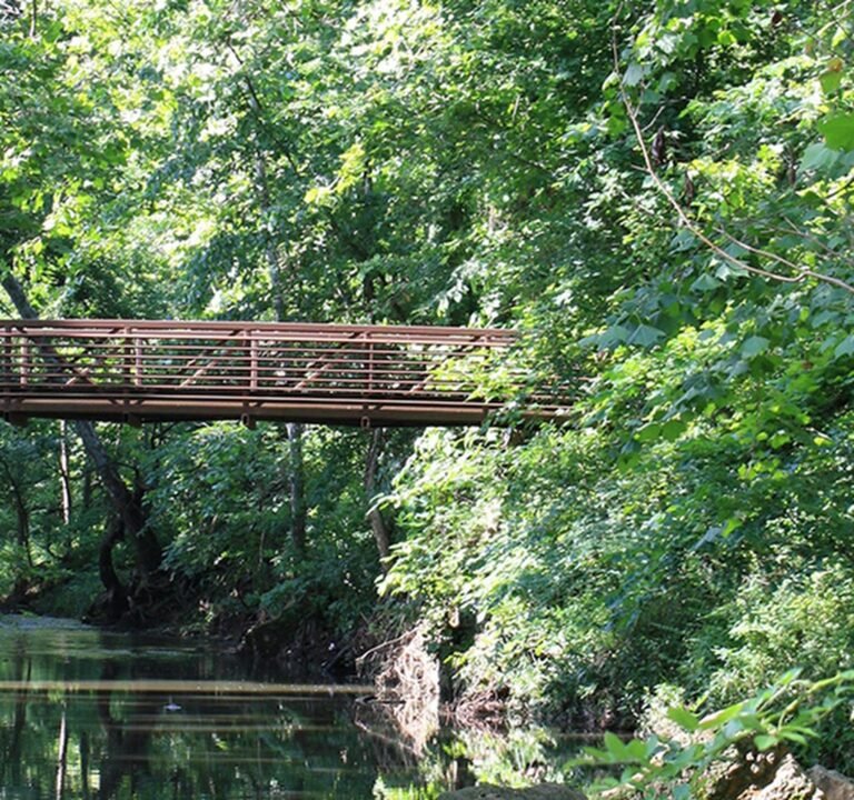Soccer Field image 2