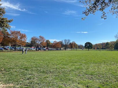 Soccer Field image 1