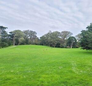 Soccer Field image 3