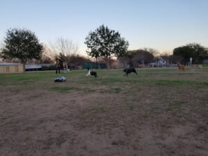 Soccer Field image 1