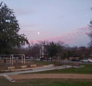 Soccer Field image 2