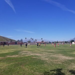 Soccer Field image 1