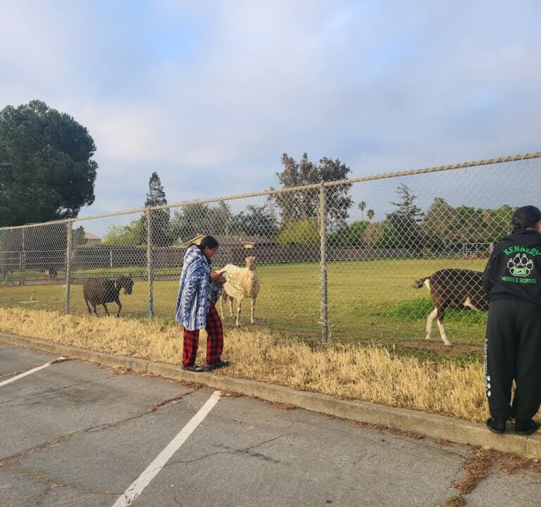 Soccer Field image 2