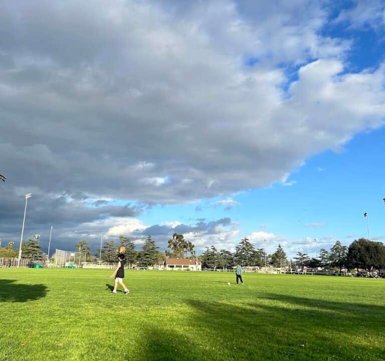 Soccer Field image 2