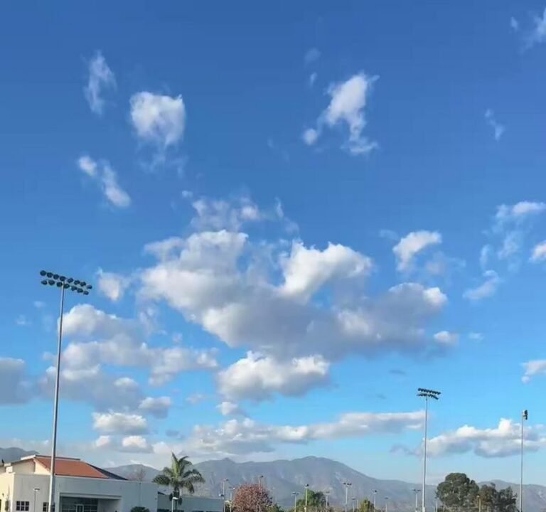 Soccer Field image 3