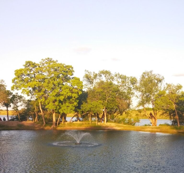 Soccer Field image 2