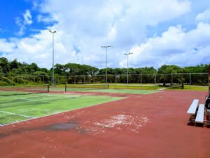 Soccer Field image 1