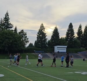 Soccer Field image 3