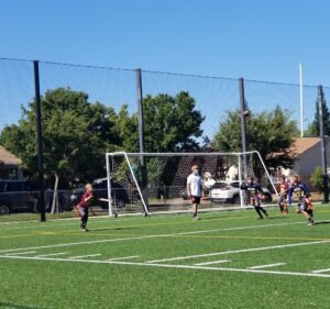 Soccer Field image 2
