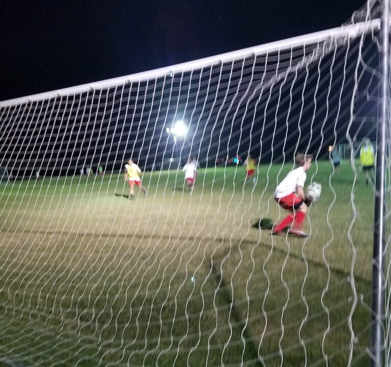 Soccer Field image 3