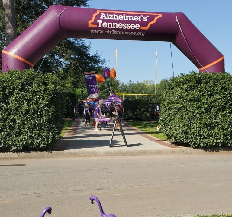 Soccer Field image 2