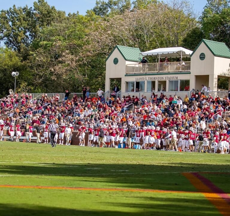 Soccer Field image 3