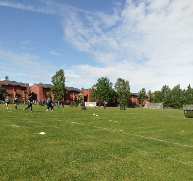 Soccer Field image 3