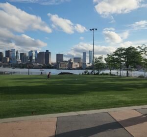 Soccer Field image 4