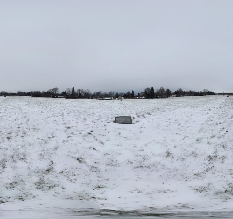 Soccer Field image 3