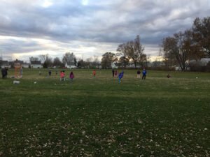 Soccer Field image 1