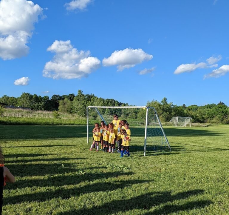 Soccer Field image 2