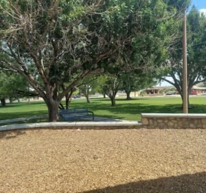 Soccer Field image 2