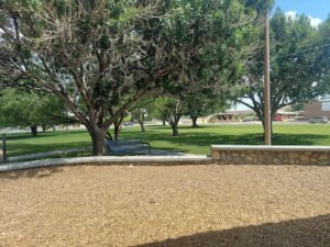Soccer Field image 1