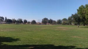 Soccer Field image 1