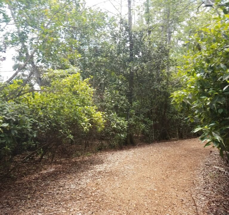 Soccer Field image 3