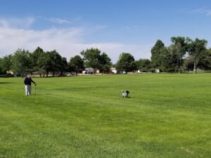 Soccer Field image 1