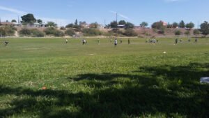 Soccer Field image 1