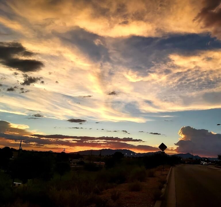 Soccer Field image 2