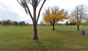 Soccer Field image 1