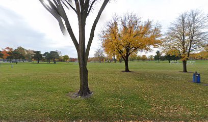 Soccer Field image 1