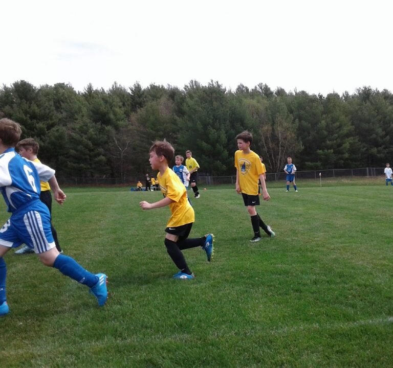 Soccer Field image 3