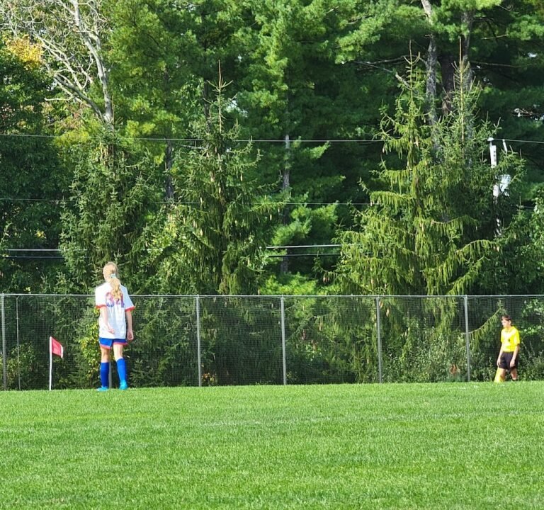 Soccer Field image 2