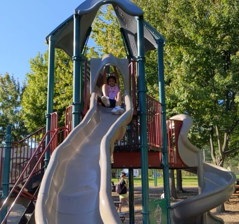 Soccer Field image 4