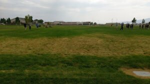 Soccer Field image 1