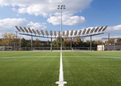 Soccer Field image 1