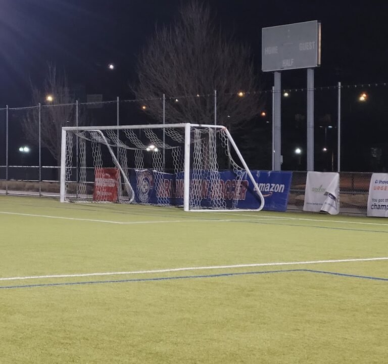 Soccer Field image 3