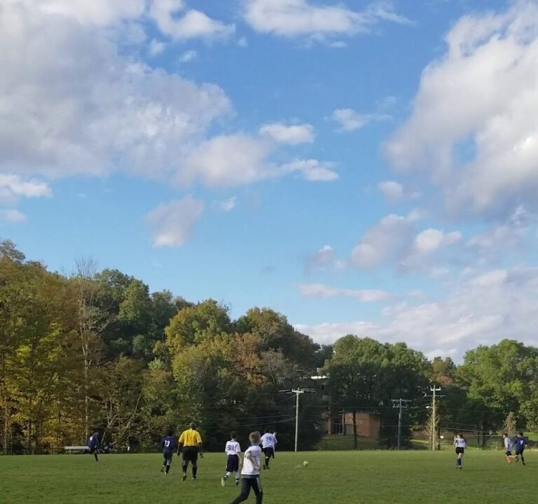 Soccer Field image 3