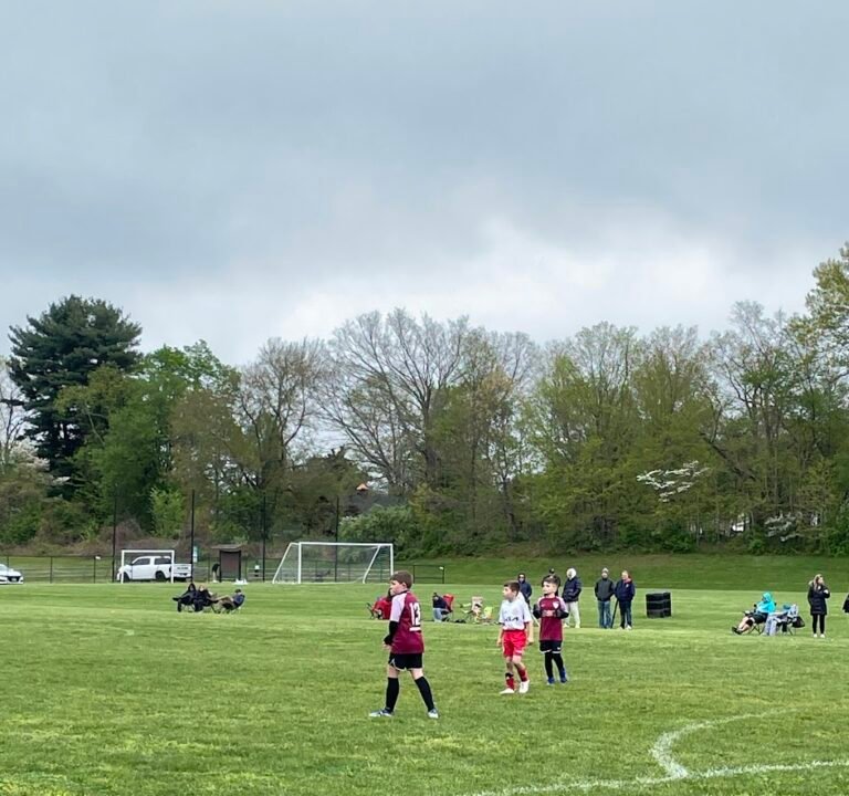 Soccer Field image 2