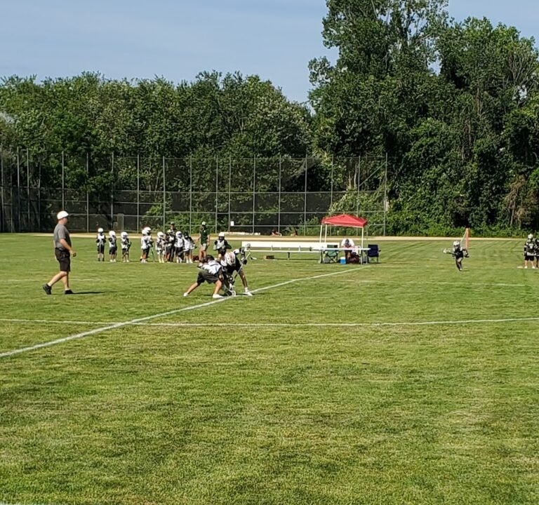 Soccer Field image 2