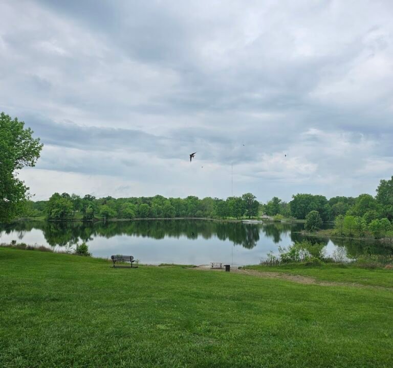 Soccer Field image 2