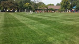 Soccer Field image 1