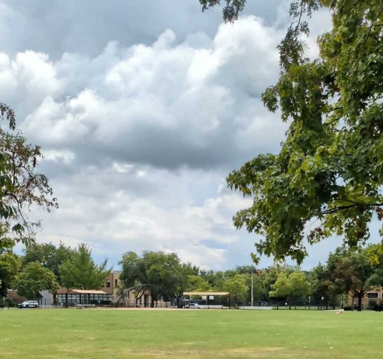 Soccer Field image 4