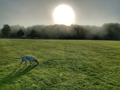 Soccer Field image 1