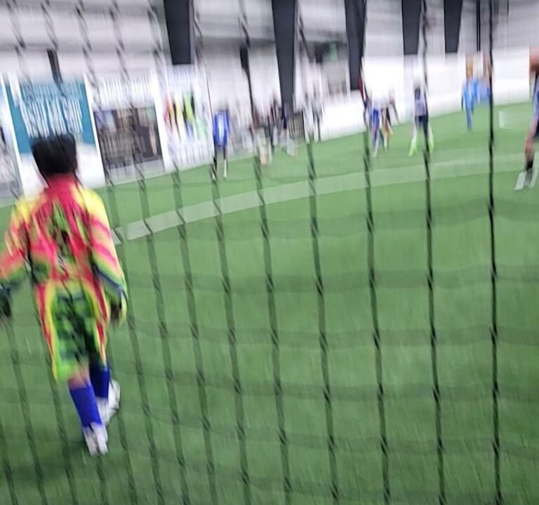 Soccer Field image 3