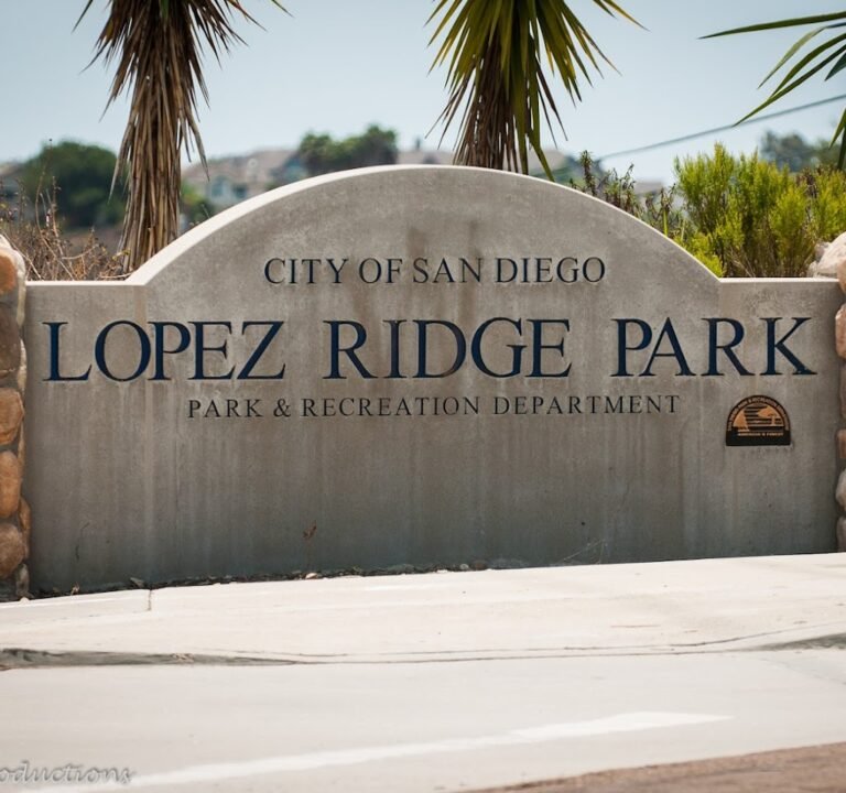 Soccer Field image 2