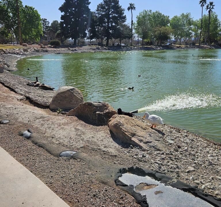 Soccer Field image 3