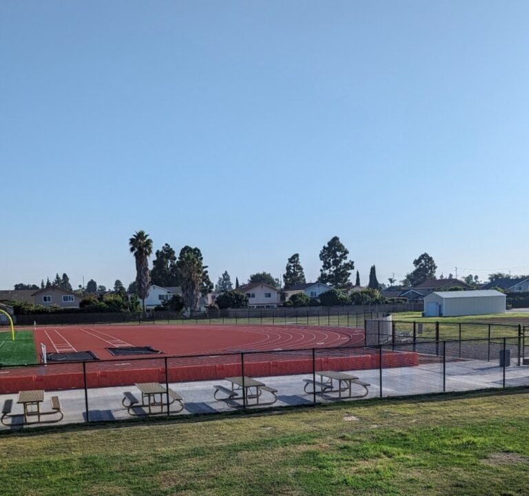 Soccer Field image 2