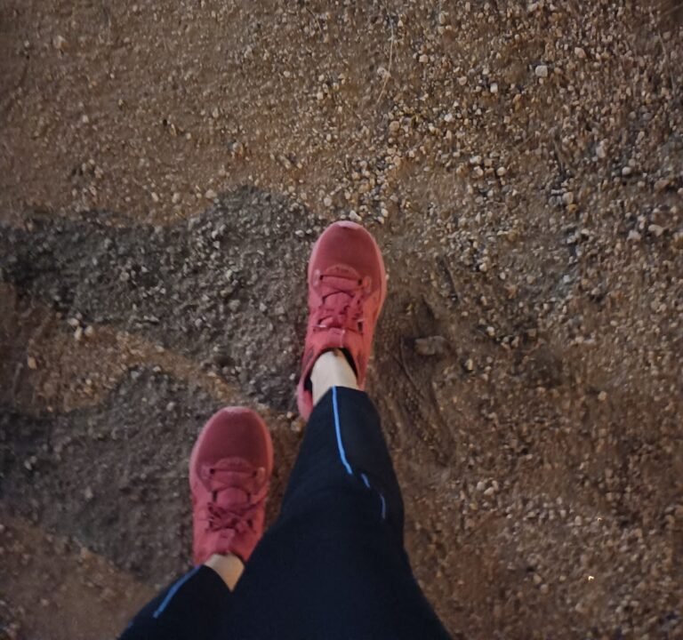 Soccer Field image 3