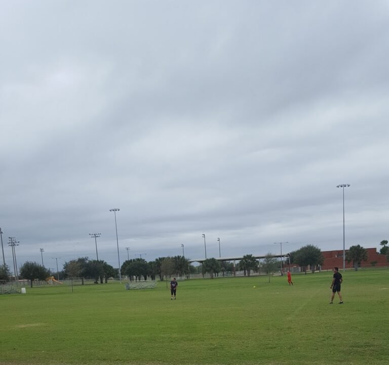 Soccer Field image 2